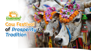 cow festival