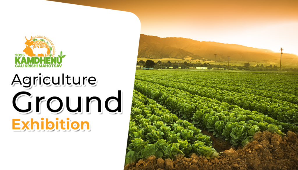 Indian Farming at the Agriculture Ground Exhibition