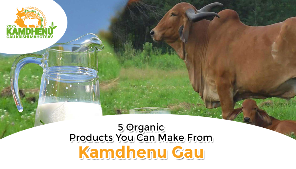5 Organic Products You Can Make From Kamdhenu Gau