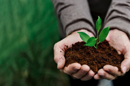 Bio-Fertilizers