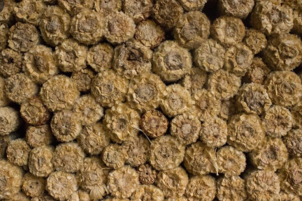 Cow Dung Bricks