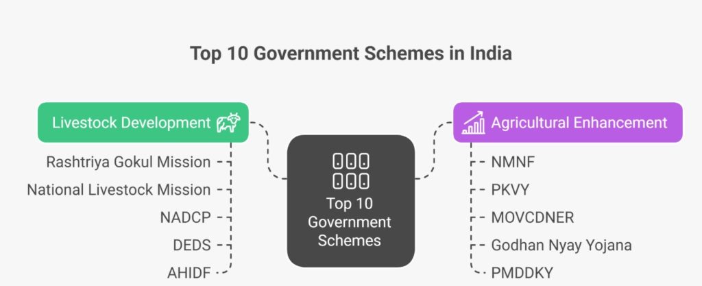 Government Schemes Supporting Cow Breeding 